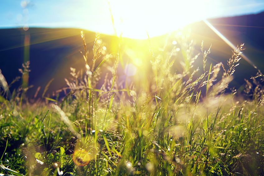 What are the environmental benefits of a green burial?