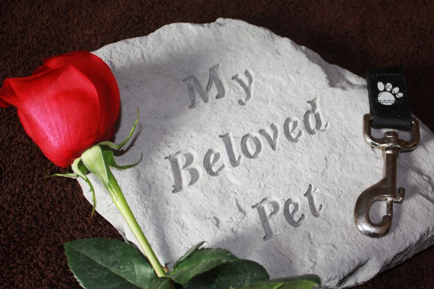 Grief: A Time to Heal - Loss of Pet